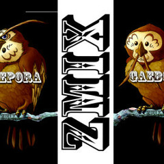 ZMiX - Kaepora Gaebora Owl Theme (Dubstep Remix) Zelda