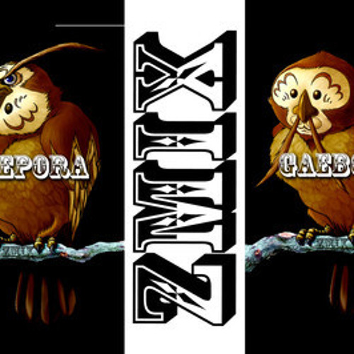 ZMiX - Kaepora Gaebora Owl Theme (Dubstep Remix) Zelda