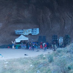 msk