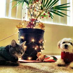 Have Yourself a Merry Little Christmas