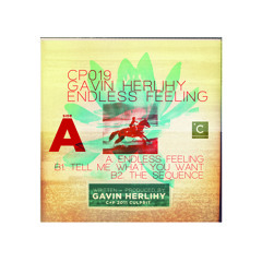 CP019: Gavin Herlihy - Endless Feeling