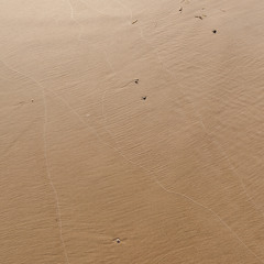 squeeky beach. north stradbroke island.