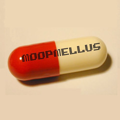 Da Funk /// moopMELLUS™ Recommended Dosage Remix