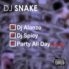 DJ SNAKE - PARTY ALL DAY ( SPICY & ALANZO REMIX )