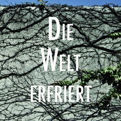 Phasenmensch - Sirenen der Erinnerung [die Welt erfriert]