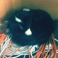 DJ Shadow - Scale It Back (Czarny Władek cut)