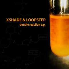 Xshade & Loopstep-inside the madness