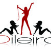 Dileira - paprashu (original) — cover