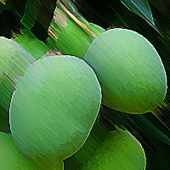 Mango verde(no remaster)