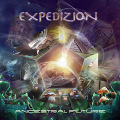 Expedizion - Awakening at night