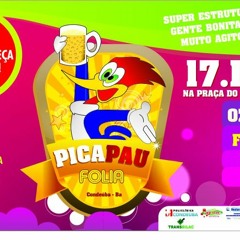 Pica-Pau Folia 2011 - Você não pode ficar de fora!