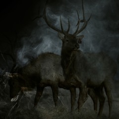 Retreat (ambient) (feat. Jo Mango)