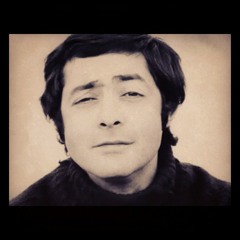 سنگی بر فراز سنگی سپید / شعر و صدای احمد رضا احمدی