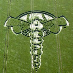 ::::LOST????:::: POLES <the-X-MIX-remodel>...free download.?