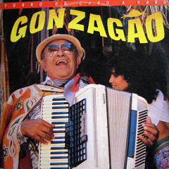 Luiz Gonzaga - Eu e meu fole