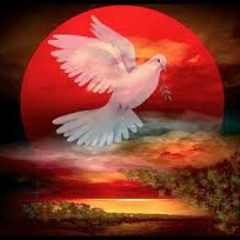 07. Na paz na humilde