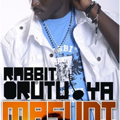 Rabbit - Masudi