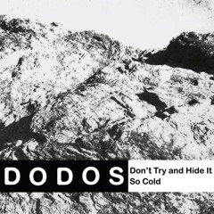The Dodos - So Cold