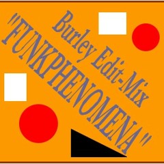 Armand van Helden Funkphenomena Burley Re-Edit '97
