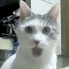 Grime Weed Ft. Duppy