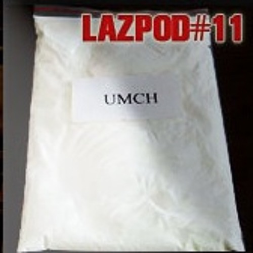 Lazpod 11