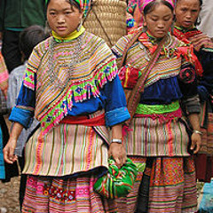 Hmong Green Kws Txhiaj