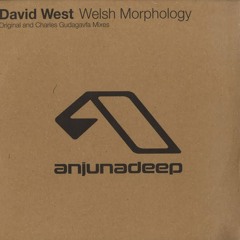 Welsh Morphology (Original Mix - David West