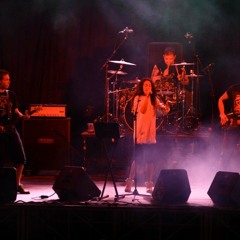 You shook me all night long (live 2010) AC/DC cover