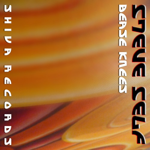 Steve Self - Bease Knees - Vortex Remix - SHIVA059
