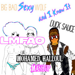 LMFO V.S Duck Sauce  - I'm a Big Bad Sexy Wolf and I Know It ( Mohamed Halloul Mashup )