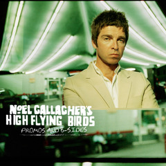Noel Gallagher's High Flying Birds - Freaky Teeth (Live)