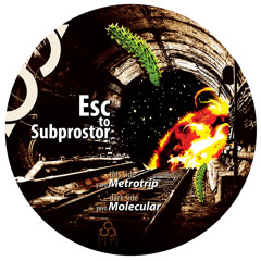 Metrotrip (dubplate version)