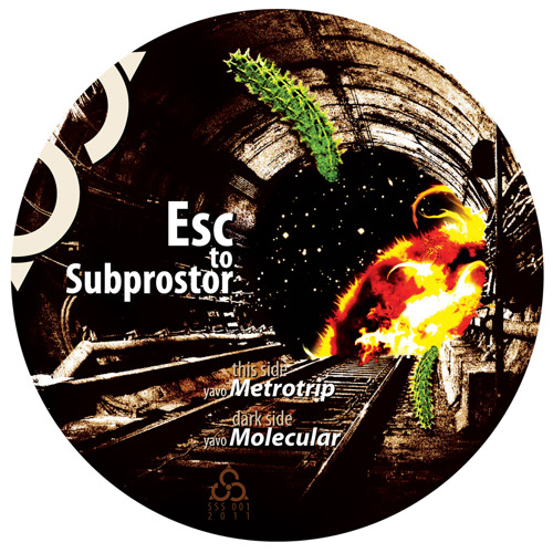 Metrotrip (dubplate version)