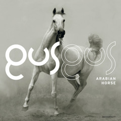 GusGus-Arabian Horse (The Wookies Remix)