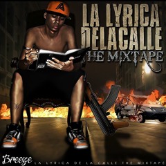 13. Breeze 'La Lyrica de la calle' - Instinto animal (Ft. Los Abusadores,Boraz G)(OFFICIAL REMIX)