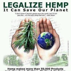 ITS JUST A PLANT