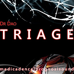 Dr Dao - Triage (A&B Tribute)