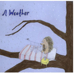 A Weather - The Feather Test