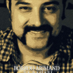 Borzoo arjmand