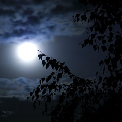Dark Night-dj Artio 2010 (BpM)