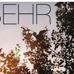 Behr-Camino(Stefan Trummer Remix)NIXWAX