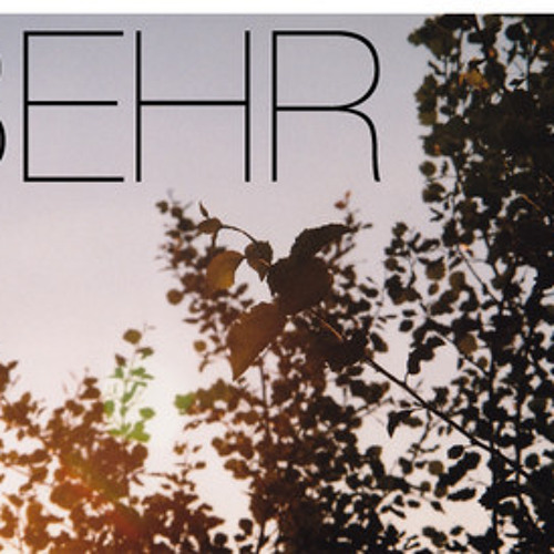 Behr-Camino(Stefan Trummer Remix)NIXWAX