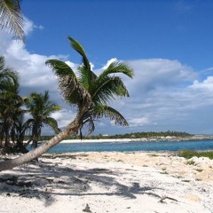 Ralph Ruckus vs. Wax Tailor - How I Feel(HQ)