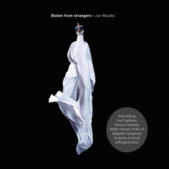 Jun Miyake - The Here And After