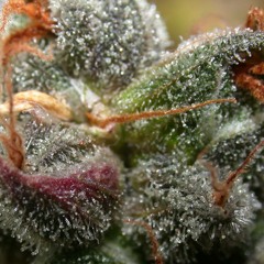 At this point in my life