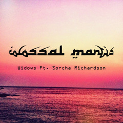 Widows Ft. Sorcha Richardson(ACTUALLY NOT the Album Version)( Free Download@BANDCAMP)