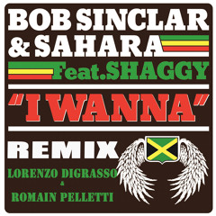 I wanna Feat Shaggy-Romain Pelletti & Lorenzo DiGrasso Rmx-BOB SINCLAR & SAHARA FEAT SHAGGY