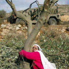 ومن سجن عكا