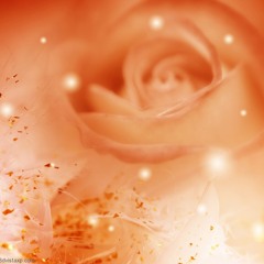 Romantic Piano Music