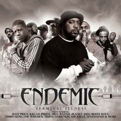Endemic - Robin hood Theory - Ft Timbo King & Planet Asia